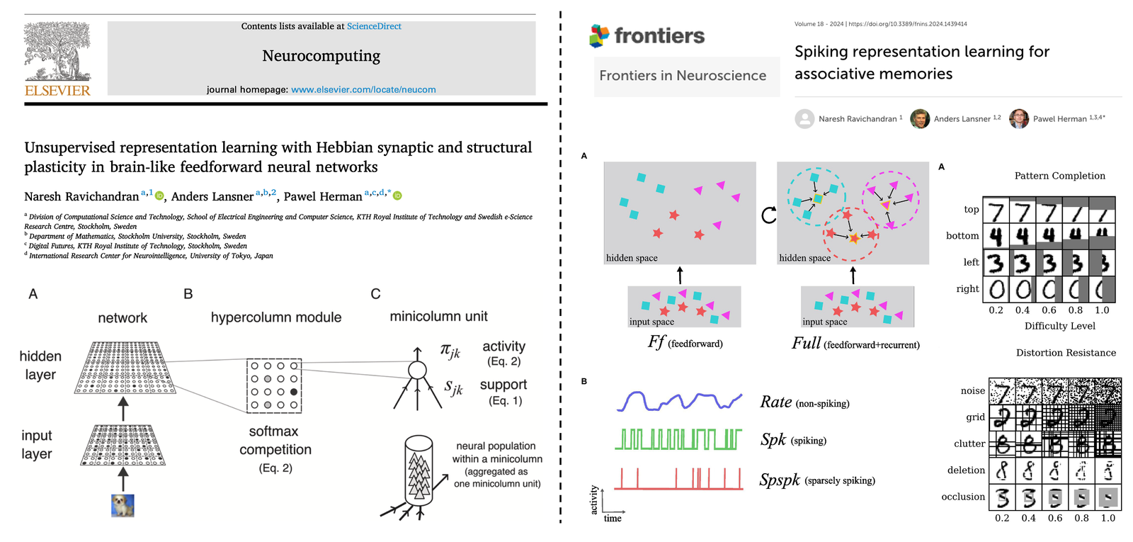 BCPNN spatial representation learning — Ravichandran, Lansner & Herman, Neurocomputing + Frontiers in Neuroscience.